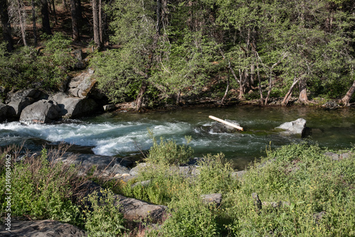 Photography river in the forest