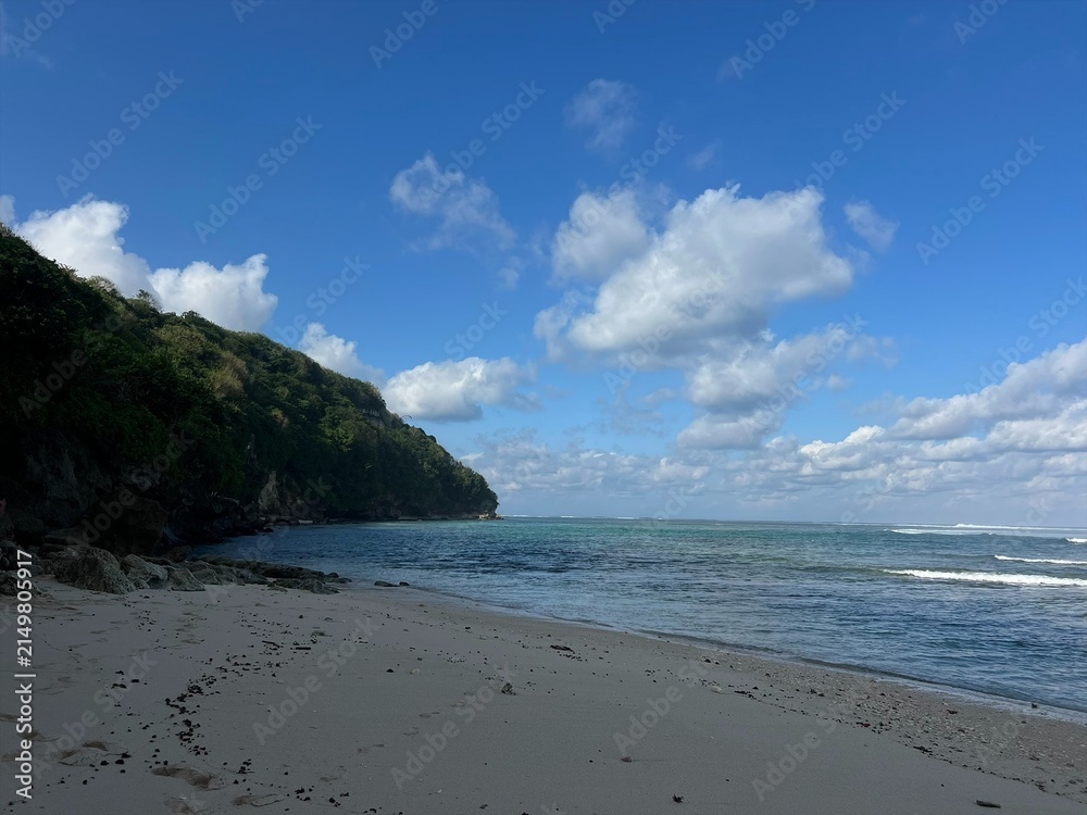 Fototapeta premium Tropical Sandy Beach with Lush Green Cliff and Blue Sky