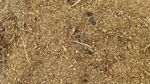 Cuadro en lienzo Close up pile of brown wood shavings waste material
