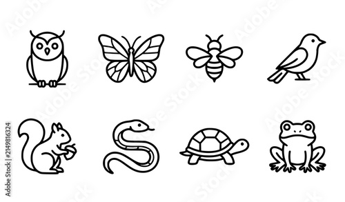 Photography Set of cute wild animal line icons including owl butterfly bee bird squirrel sna