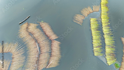 Jute bundles float on Bortir Bil in rural India, reflecting traditional livelihoods and sustainable agriculture. Jute, a natural biodegradable fiber, offers an eco-friendly alternative to plastic. 