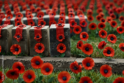 Red poppy flowers arranged with concrete blocks form a poignant memorial, honoring fallen soldiers in a vast green field.