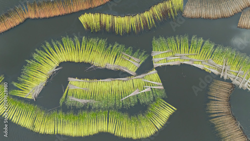 Jute bundles float on Bortir Bil in rural India, reflecting traditional livelihoods and sustainable agriculture. Jute, a natural biodegradable fiber, offers an eco-friendly alternative to plastic. 