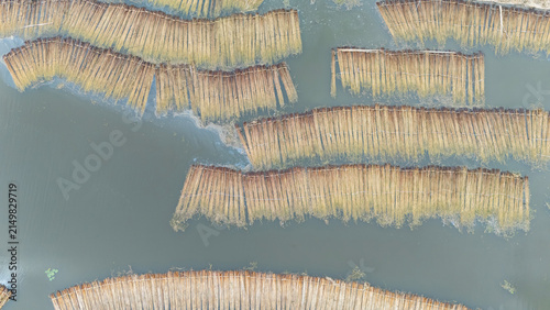 Jute bundles float on Bortir Bil in rural India, reflecting traditional livelihoods and sustainable agriculture. Jute, a natural biodegradable fiber, offers an eco-friendly alternative to plastic. 
