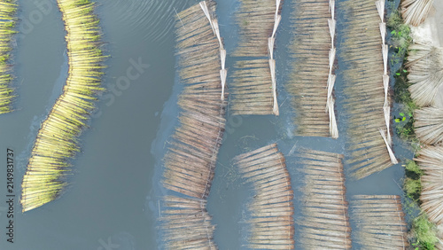 Jute bundles float on Bortir Bil in rural India, reflecting traditional livelihoods and sustainable agriculture. Jute, a natural biodegradable fiber, offers an eco-friendly alternative to plastic. 