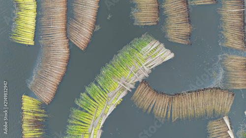 Jute bundles float on Bortir Bil in rural India, reflecting traditional livelihoods and sustainable agriculture. Jute, a natural biodegradable fiber, offers an eco-friendly alternative to plastic. 