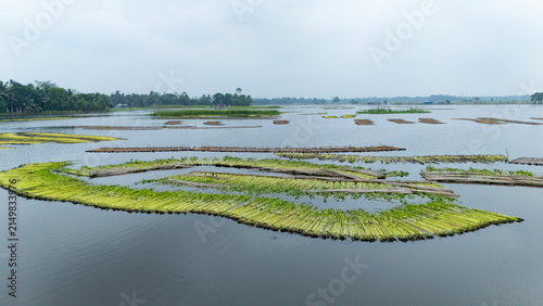 Jute bundles float on Bortir Bil in rural India, reflecting traditional livelihoods and sustainable agriculture. Jute, a natural biodegradable fiber, offers an eco-friendly alternative to plastic. 