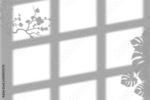 Elegant shadow of tropical monstera leaves and blossoming branches cast through a window grid isolated on transparent background
