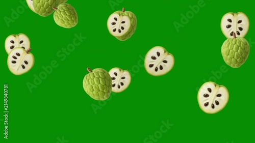 Falling fresh custard apples motion graphics with green screen background