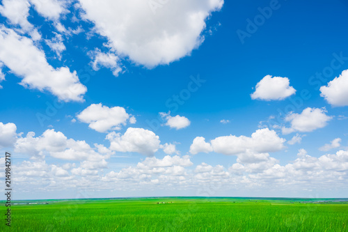 Photography 晴れた夏の空と白い雲