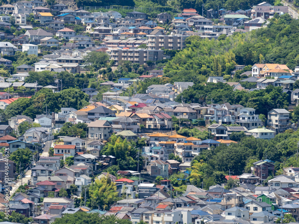 Fototapeta premium 斜面に広がる住宅密集地