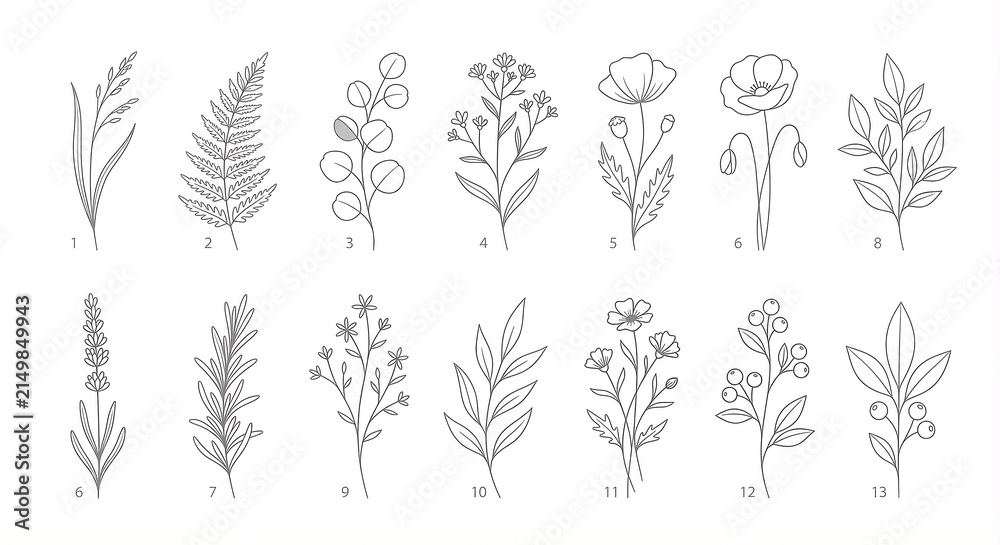 Fototapeta premium Minimalist Floral Elements on White