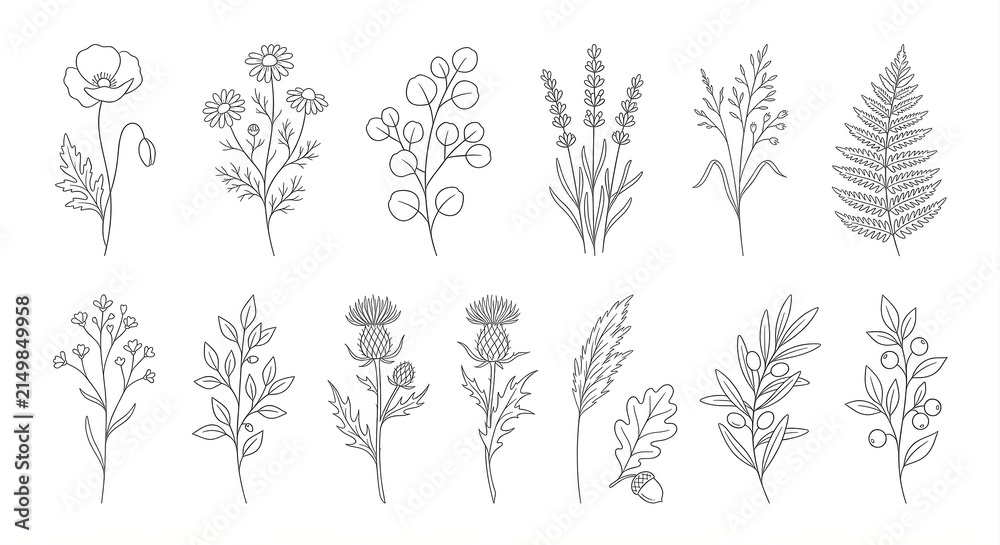 Fototapeta premium Minimalist Floral Elements on White