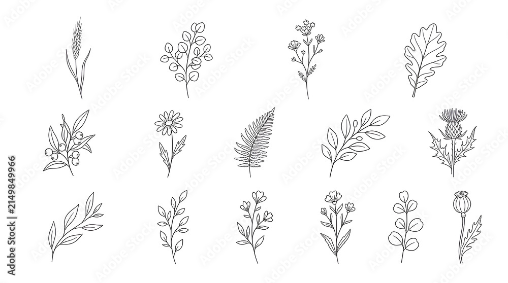 Fototapeta premium Minimalist Floral Elements on White
