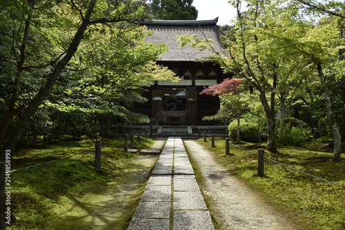 Plakat 春の酬恩庵一休寺 本堂へつづく参道