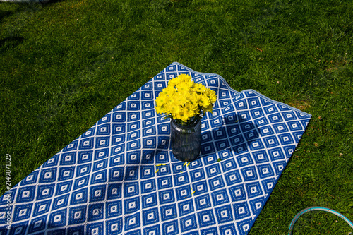 Yellow flowers, blue carpet and green grass