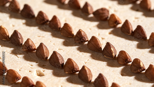 Roasted buckwheat groats neatly arranged in a pattern on a bright beige stone surface under natural sunlight
