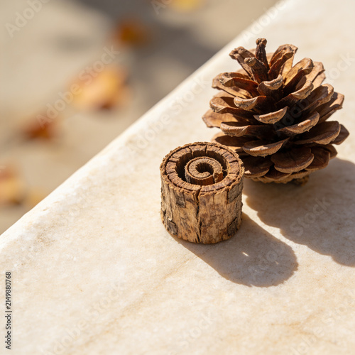 Single dry pine cone resting on a bright beige marble surface under warm natural sunlight