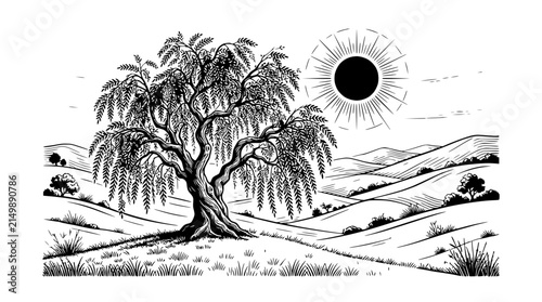 Weeping Willow Tree and Sun Illustration in Rural Landscape