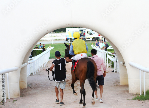 Fotografie Hípica y equitación caballo de carreras Turf, jockey jinete y mozo de paddock a