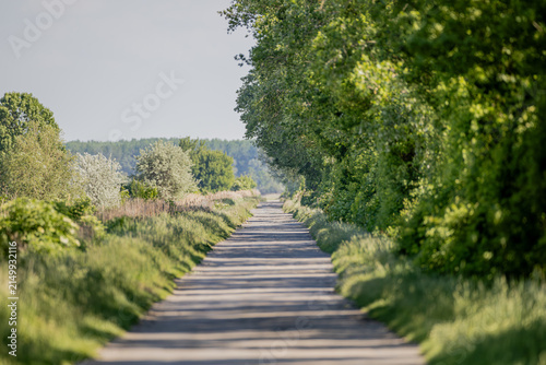 Fotografie Landschaft am Neusiedler See