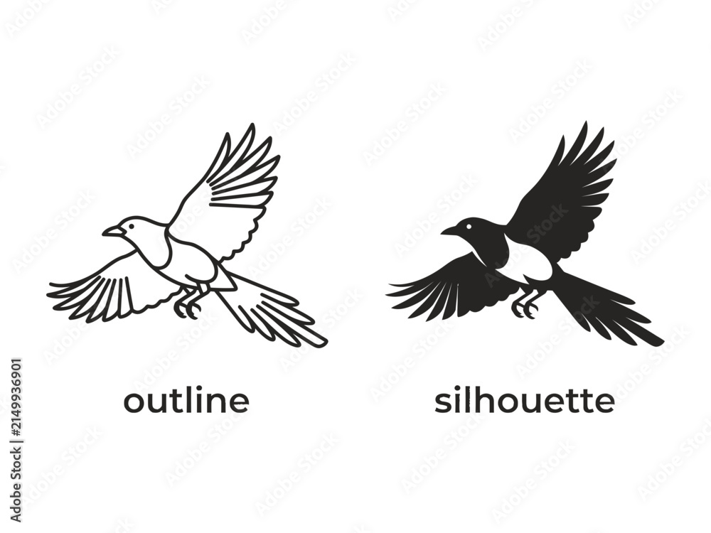 Fototapeta premium Magpie outline and silhouette: Two depictions of a flying magpie, one as a detailed outline and the other as a solid silhouette, offering versatile graphic elements.