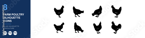 Poultry Silhouettes Icon Set Depicting Farm Chickens and Roosters in Simple Black Vector Style for Agriculture Design