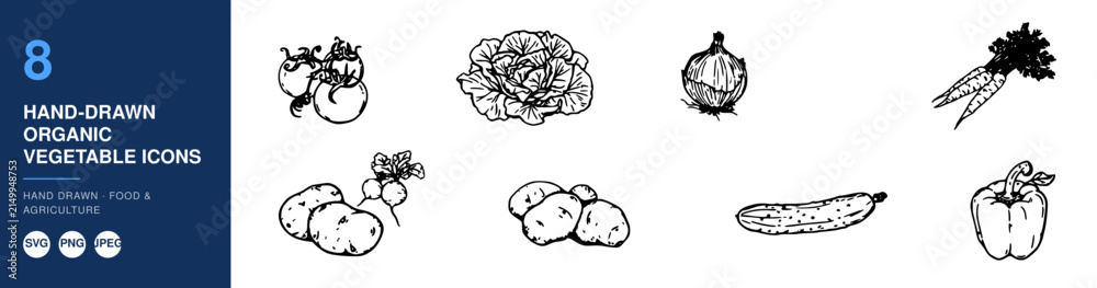 Fototapeta premium Vegetable Icons Hand-Drawn Organic Set on White Background for Healthy Eating Concept and Label Design
