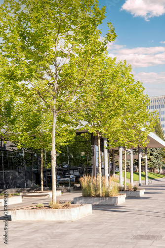 Green Urban Plaza with Trees and Sustainable Modern Architecture