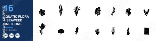 Aquatic Flora Seaweed Line Icons Nameplate Abstract Visual Background with Clean Commercial Design Style