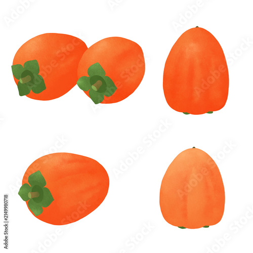 Hand-drawn watercolor illustration of a ripe persimmon