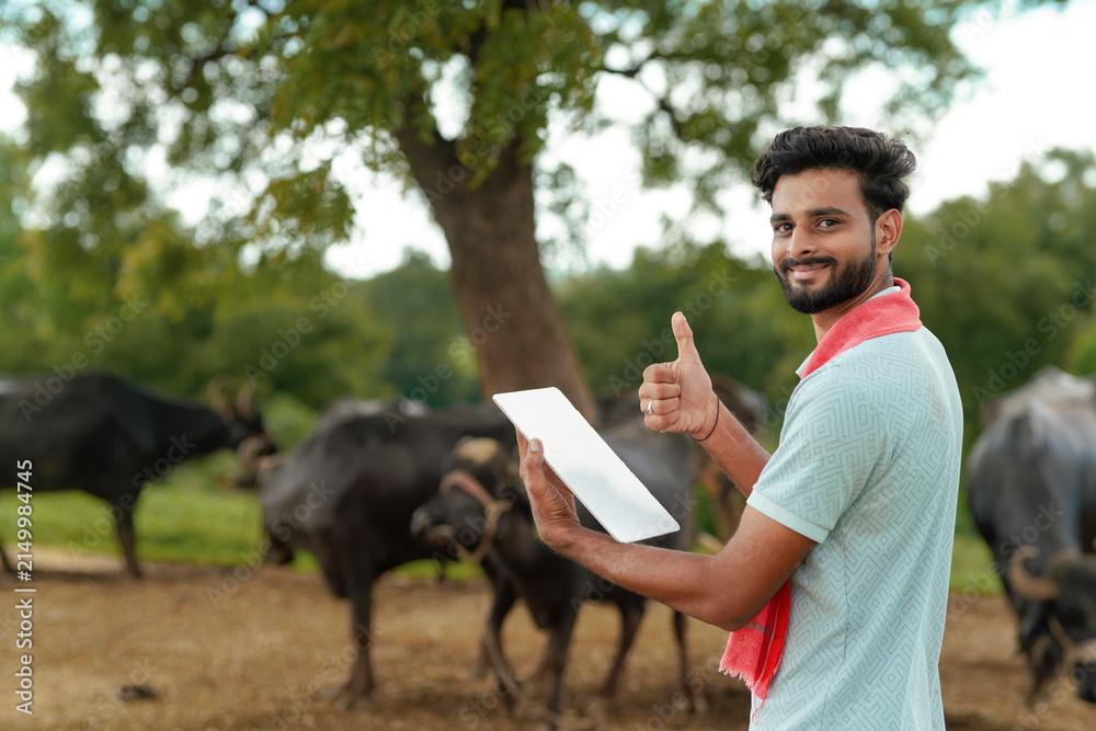 Fototapeta premium A young Indian farmer standing outdoors with his livestock holding a pad and giving a thumbs-up gesture.