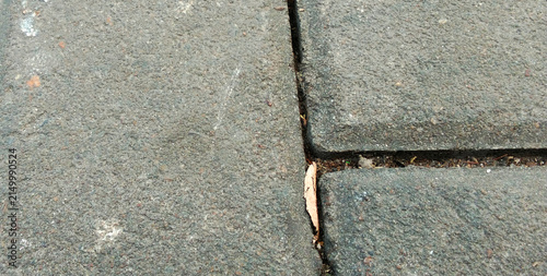 Gray concrete paving blocks with a rough surface and joint detailing.
