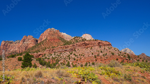 Navajo sandstone cliffs with green desert shrubs in Zion National Park USA