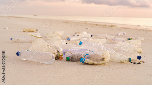 Bild auf Leinwand plastic water bottles littering sandy beach, ocean or sea pollution, microplasti