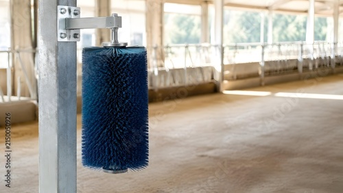 Industrial rotating blue bristle grooming brush mounted inside modern open plan livestock barn facility with empty agricultural barn structure