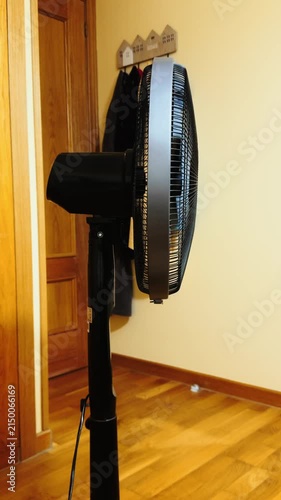 Oscillating pedestal fan cooling air at home