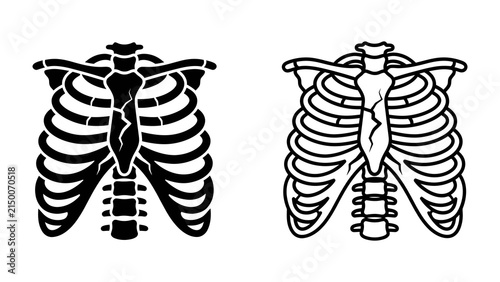 фотографія Human Rib Cage Anatomy: A detailed illustration of the human rib cage, presented in both black silhouette and line drawing style, showcasing the intricate structure of bones, sternum