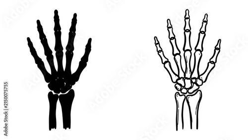 Konstfotografi Human Hand Skeleton: A comparison between a black silhouette and a white line drawing of a human hand skeleton, highlighting the anatomy of the hand and its skeletal structure