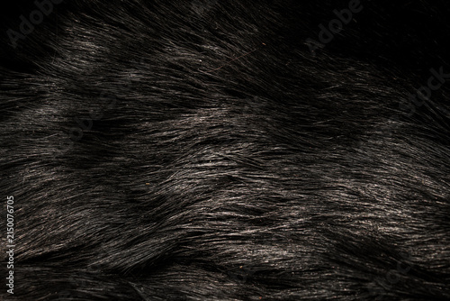 Canvastavla The background texture is thick and shiny black goat fur or hair.