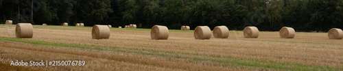 Fotografía Feld mit Heuballen am Wegesrand in der Region Teutoburger Wald