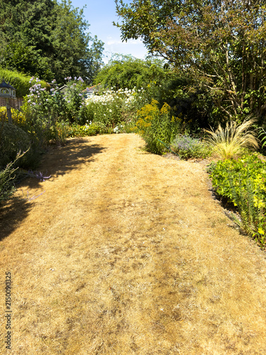 Hampshire England UK. 01.08.2026. English country garden during a dry weather period resulting in a parched lawn with dried grass.