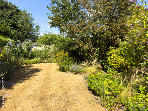 Hampshire England UK. 01.08.2026. English country garden during a dry weather period resulting in a parched lawn with dried grass.