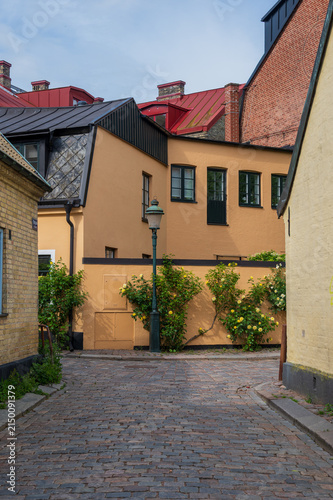 Cobblestone alley leading to yellow facade with roses in Lund Sweden