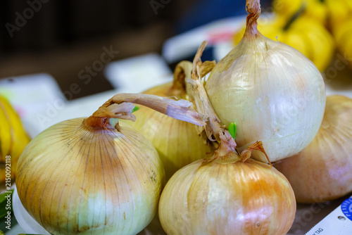 Onions displayed at a local farmers market event in the afternoon