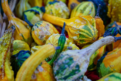 Colorful gourds in a basket displaying various shapes and patterns during autumn harvest season