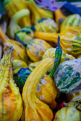 Colorful gourds are arranged in a basket at a local market during the autumn season