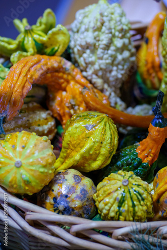 Colorful gourds in a basket during autumn harvest season