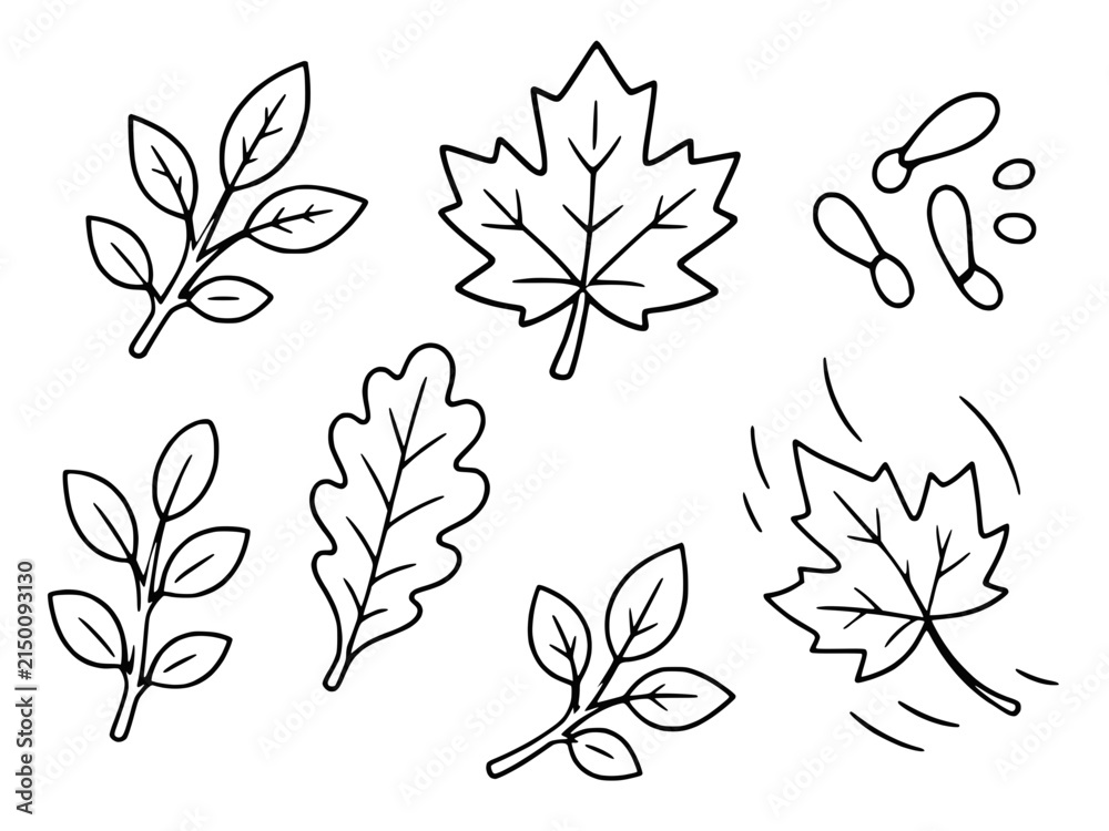 Obraz premium Autumn leaf coloring page line art vector illustration