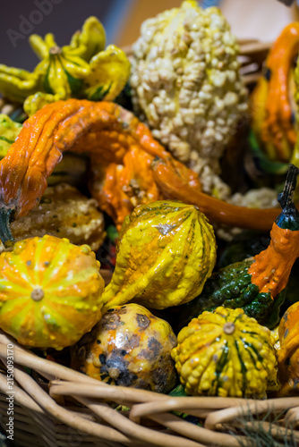 Colorful gourds and squash in a woven basket at a market during fall season